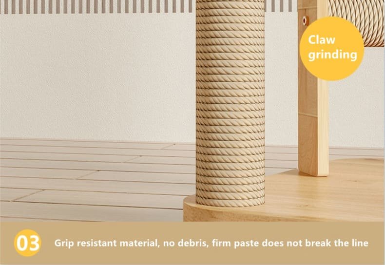 Kitten Interactive Scratcher Caso Machinery 13 790x544