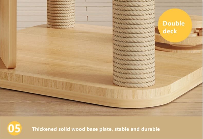 Kitten Interactive Scratcher Caso Machinery 15 790x543