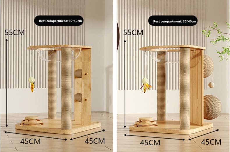 Kitten Interactive Scratcher Caso Machinery 16 790x522