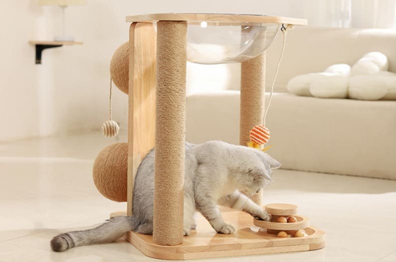 Kitten Interactive Scratcher Caso Machinery 17 790x524