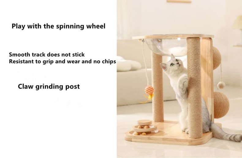 Kitten Interactive Scratcher Caso Machinery 18 790x518