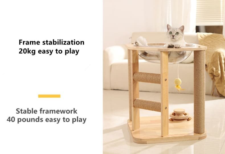 Kitten Interactive Scratcher Caso Machinery 22 790x541