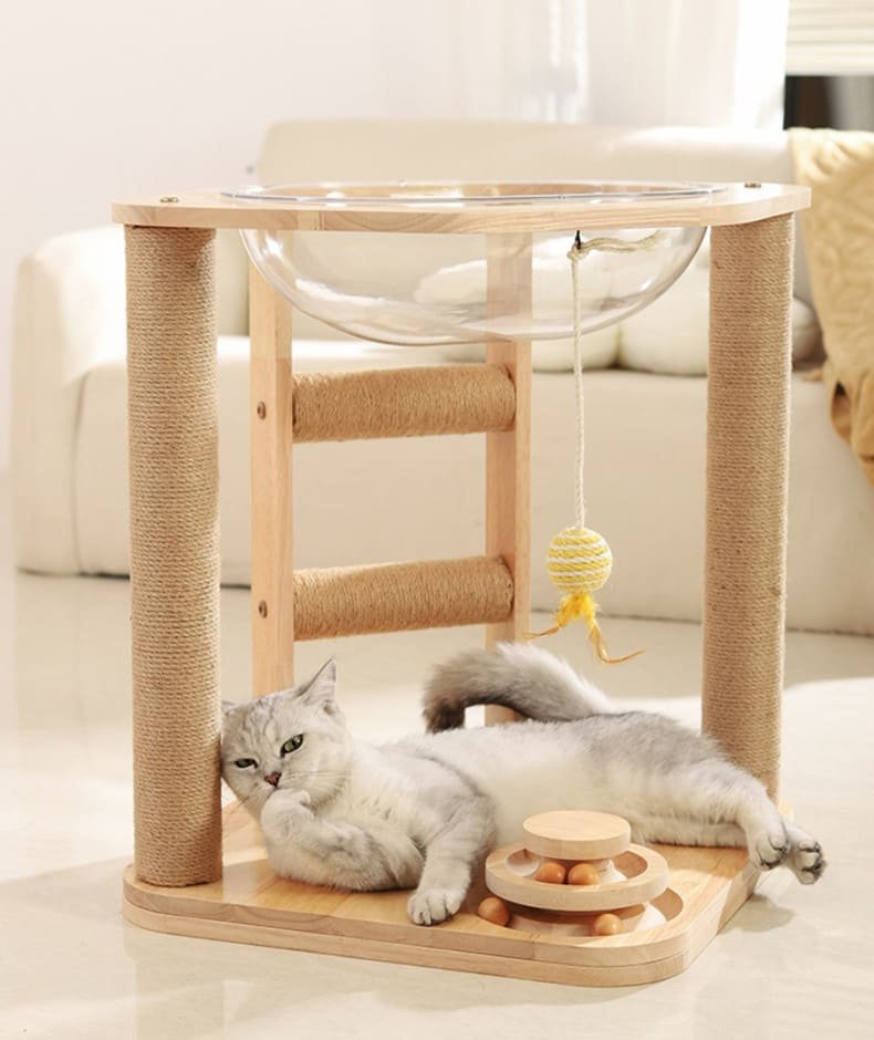 Kitten Interactive Scratcher Caso Machinery 23 790x940