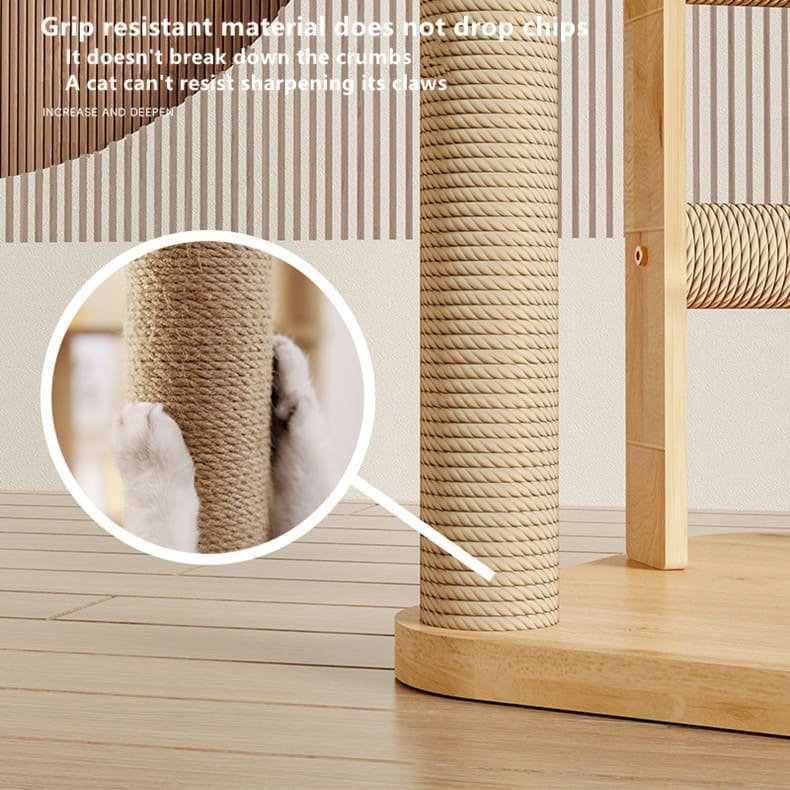 Kitten Interactive Scratcher Caso Machinery 4 790x790