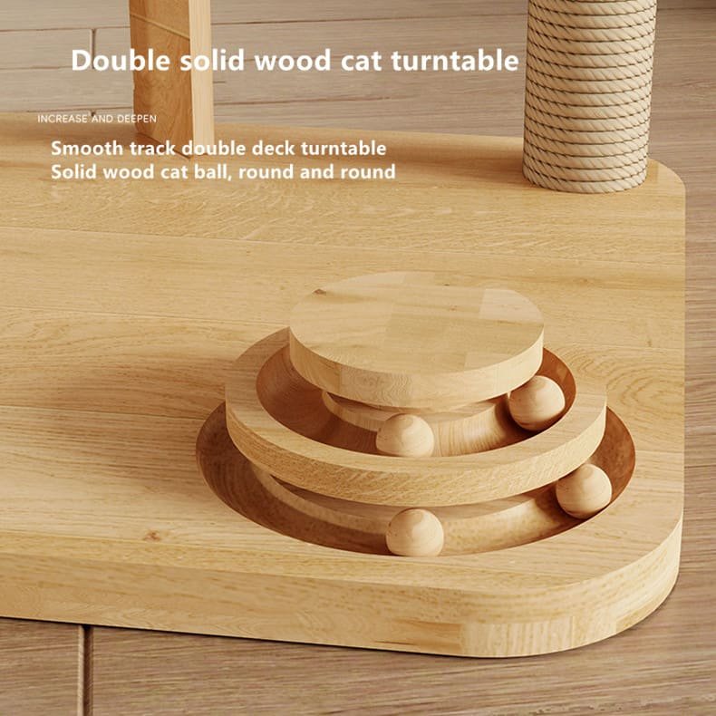 Kitten Interactive Scratcher Caso Machinery 5 790x790