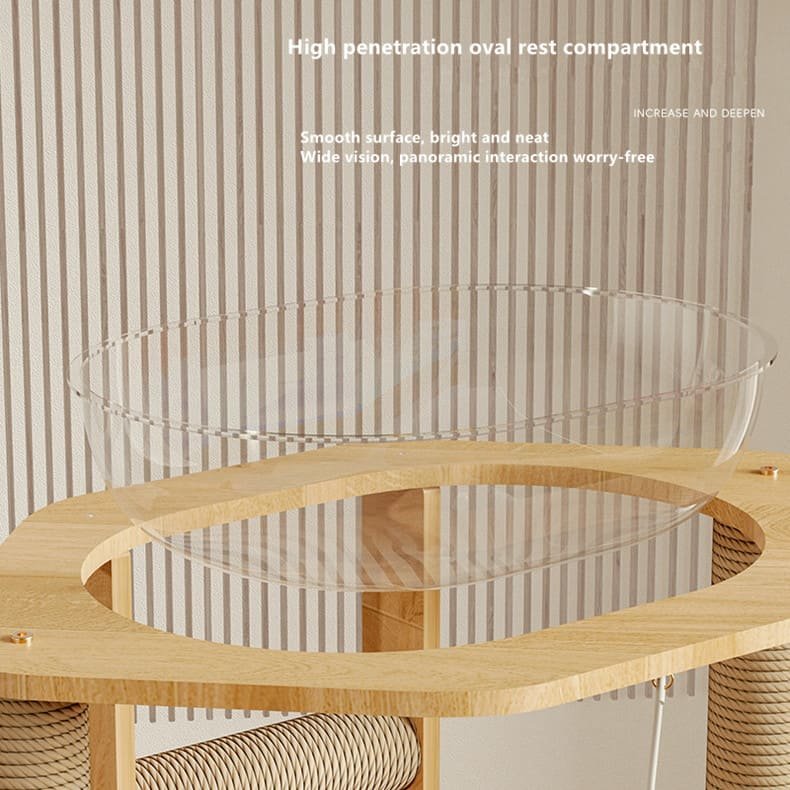 Kitten Interactive Scratcher Caso Machinery 6 790x790