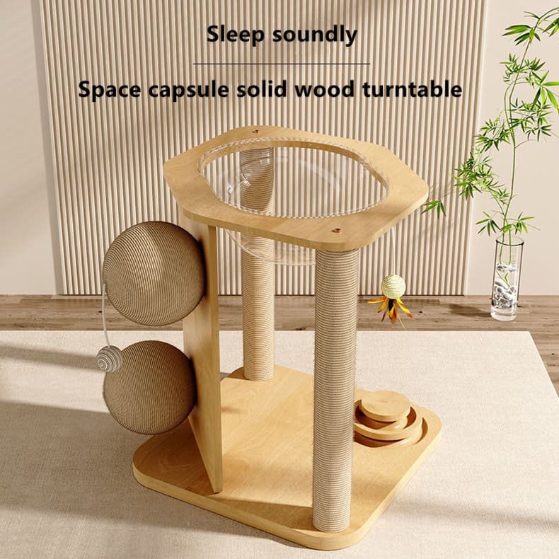 Kitten Interactive Scratcher Caso Machinery 7 790x790