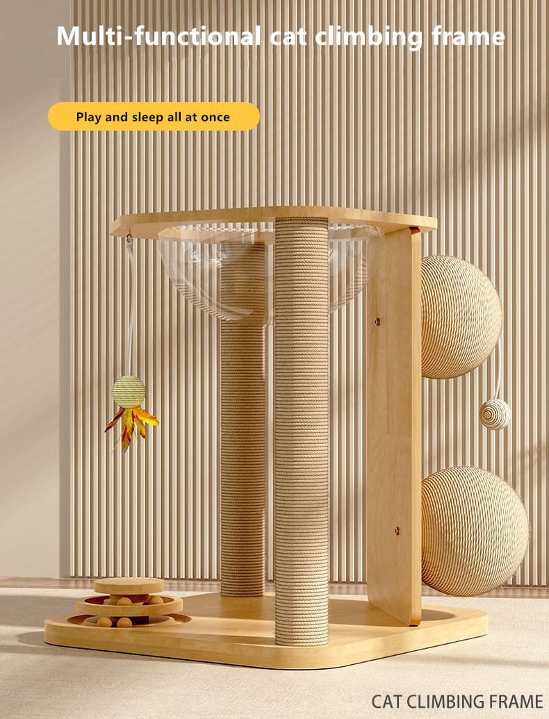 Kitten Interactive Scratcher Caso Machinery 8 790x1035