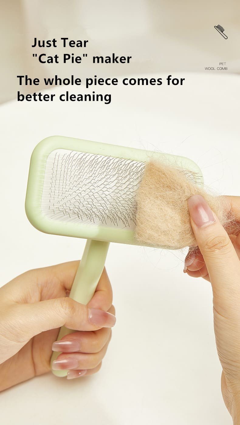 Cat_Needle_Comb_Caso_Machinery_18_790x1400 Cat_Needle_Comb_Caso_Machinery_18_790x1400